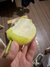 【酥脆爆汁】云南丁香梨小蜜梨薄皮爆甜多汁蜂蜜梨子當(dāng)季孕婦水果 5斤帶箱(凈重4.5斤) 精選裝單果60g+ 曬單實拍圖