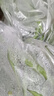 【超市品質(zhì)】新鮮農(nóng)家長豆角豇豆角腌制泡菜早餐生鮮蔬菜豆角子 產(chǎn)地直發(fā)現(xiàn)摘 3斤 曬單實(shí)拍圖
