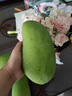 顧果鮮芒果新鮮廣西大青芒當(dāng)季熱帶時令孕婦水果青皮甜心青芒果 9斤 精選特大果【單果400g+】 曬單實拍圖
