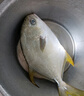 翔泰海南二去金鯧魚700g/2條  去鰓去內(nèi)臟 燒烤 生鮮魚類  海鮮水產(chǎn) 曬單實拍圖