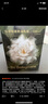 babycare山茶花防溢乳墊 一次性超薄柔軟透氣防溢乳貼乳墊 100片 曬單實(shí)拍圖