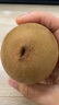 佳沛（zespri）新西蘭 陽(yáng)光金奇異果12粒禮盒特大果單果約122-146g 獼猴桃 水果 曬單實(shí)拍圖