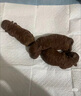 獸醫張旭 泌尿道處方犬糧 全價(jià)泌尿友好車(chē)前子尿閉膀胱全價(jià)配方處方糧狗糧 10kg（大顆粒-無(wú)試吃） 曬單實(shí)拍圖