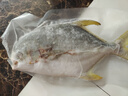 翔泰 海南金鯧魚凈重900g 2條裝  魚類生鮮 燒烤 火鍋食材 海鮮水產(chǎn) 曬單實拍圖