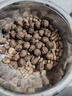 京鮮生 云南新鮮七彩花生凈重2斤帶殼水洗花生可水煮 新鮮蔬菜 源頭直發(fā) 曬單實(shí)拍圖