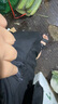 摘星少年夏季輕薄透氣防曬連帽短袖短褲兩件套男潮流簡(jiǎn)約純色寬松休閑套裝 黑色一套1005【上衣+短褲】 3XL 建議190-210斤 曬單實(shí)拍圖