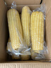 京鮮生東北白糯玉米250g*10棒 新鮮甜糯玉米棒真空包裝粘玉米 源頭直發(fā) 曬單實(shí)拍圖
