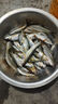 北禾魚餌溪流免洗面筋餌料石斑魚馬口白條野釣爆護魚食30g一包搞定 10包【折后1.99元/包】送餌料盒 曬單實拍圖