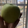 正宗安徽碭山青梨新鮮水果當(dāng)季現(xiàn)摘皮酥脆一號(hào)青梨皇酥梨雪梨整箱 3斤 【京東快遞】 曬單實(shí)拍圖