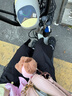 環(huán)球厚底老爹鞋女2025新款夏季網(wǎng)面透氣黑色運(yùn)動鞋百搭休閑登山鞋 曬單實(shí)拍圖