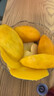 京鮮生 攀枝花凱特芒果 凈重4.5斤 帶箱5斤 單果400g+ 生鮮水果源頭直發(fā) 曬單實拍圖