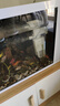 亞峰（yafeng）魚缸過濾器三合一凈水循環(huán)泵魚缸內(nèi)置過濾器過濾水泵小型增氧設(shè)備 25W 五合一 （50-60CM缸用） 曬單實(shí)拍圖