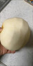 壹萌果蔬正宗山東冰糖梨脆甜當(dāng)季新鮮秋季月豐水梨水果中秋送禮整箱發(fā)出 凈4.5-5斤精選果【單果250g+】 曬單實拍圖