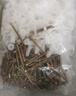 鉑特體 石膏板內(nèi)膨脹螺絲飛機塑料脹塞管釘脹栓蝴蝶型固定膠塞 飛機形200套 曬單實拍圖