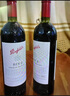 奔富（Penfolds） RWT/BIN798設(shè)拉子紅葡萄酒 750ml單瓶裝 澳洲原產(chǎn) 曬單實拍圖