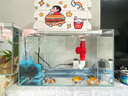 創(chuàng)寧變頻潛水泵 CN-9500-13W 10檔流量調(diào)節(jié) 魚(yú)缸假山噴泉池循環(huán)抽水 曬單實(shí)拍圖
