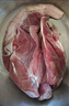 大莊園 進(jìn)口草飼原切牛腱子凈重2斤 生鮮牛肉 醬鹵燉煮食材【真原切】 曬單實(shí)拍圖