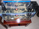 老漁匠魚缸背景燈板led南美缸水草缸水族箱觀賞照明燈rgbw發(fā)光板 漸變背景板50*30cm-APP控制遠(yuǎn)程操控 曬單實拍圖