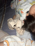 babylove嬰兒安撫巾睡覺(jué)玩偶新生寶寶哄睡神器彩棉公仔睡眠玩具 KIKI獅 曬單實(shí)拍圖