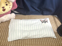 唐裔A類(lèi)純棉水洗棉毛巾繡兒童枕頭套30x50幼兒園寶寶全棉枕套學(xué)生整套 奇奇彩條綠【枕套單只裝】 尺寸 30cm*50cm 曬單實(shí)拍圖