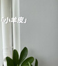 嘉寶莉（CARPOLY）室內乳膠漆凈界A+生物友好多效小羊皮紋理藝術(shù)墻面漆6.4kg可調色 曬單實(shí)拍圖