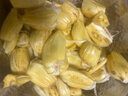 海南黃肉菠蘿蜜當(dāng)季熱帶新鮮水果波蘿蜜黃肉干苞一整個(gè)熱帶水果 17-21斤 曬單實(shí)拍圖