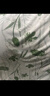 頤眠莫代爾吊帶睡裙女夏季2025年新款薄款涼感冰絲睡衣女家居服套裝 曬單實(shí)拍圖