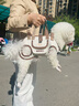曇蓓漫狗包寵物背帶包外出狗狗背帶中小型犬背狗神器胸前背包貓咪攜帶包 多功能寵物外帶包 S碼（適合4-8斤寵物） 透氣舒適丨不悶毛皮 曬單實拍圖