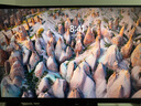 技嘉（GIGABYTE）27吋 SSIPS UHD顯示器 160Hz 1ms HDR400 HDMI2.1 G-SYNC內(nèi)置音箱KVM戰(zhàn)術(shù)電競(jìng)Type-c M27UP 曬單實(shí)拍圖
