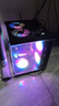 技嘉 酷睿i5 13400F臺式組裝電腦主機RTX4060Ti/5060Ti游戲高端電競獨顯直播設(shè)計渲染整機 配置一：i5 13400F+RTX4060 曬單實拍圖
