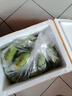 廣西芭蕉牛蕉大蕉大芭蕉牛角蕉板蕉凈重酸甜蕉無(wú)催熟劑當(dāng)季大果 8斤 曬單實(shí)拍圖