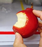 南步陜西紅啤梨 紅寶石啤梨太婆梨紅皮梨彩虹梨子火把香梨子新鮮水果 3斤 中大果【單果110g+】 曬單實(shí)拍圖