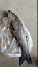 進口超柔不打結(jié)高強度尼龍海釣線 金色主線220米【  不滿意退】 0.6號(備) 曬單實拍圖