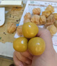 京地達(dá)東北特產(chǎn)新鮮菇娘果凈重2斤單果3g起燈籠果黃姑娘果源頭直發(fā)包郵 曬單實(shí)拍圖