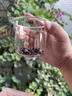 器態(tài)【限時(shí)特惠】福容磁吸飄逸杯一鍵過(guò)濾茶具套裝茶水分離玻璃茶壺 一壺2杯 680ml 曬單實(shí)拍圖