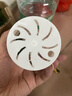 水培植物綠植盆栽室內(nèi)客廳辦公室桌面小盆景花卉綠蘿發(fā)財樹好養(yǎng)活 【文竹】+簡歐透明吸水盆 曬單實拍圖