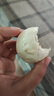 同慶樓老面鮮肉小籠包500g面點(diǎn)早餐半成品速食點(diǎn)心發(fā)面鮮肉包子懶人早飯 老面小籠包500g*3袋【60只】 曬單實(shí)拍圖