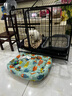 夢(mèng)茜兒純種博美幼犬活體寵物狗狗茶杯犬小狗哈多利亞俊介犬長(cháng)不大小狗狗 寵物級 家庭款 母 曬單實(shí)拍圖