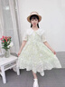 紛資言女童夏季碎花連衣裙2025新款女大童洋氣清新學(xué)院風(fēng)裙子小女孩夏裝 110碼建議身高100cm左右 均碼 雙領(lǐng)連衣裙 曬單實(shí)拍圖