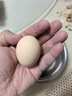 舌尖攻略蛋墩墩農(nóng)家散養(yǎng)雞蛋谷飼鮮雞蛋農(nóng)家雞蛋早餐食材蛋白單枚40g±5g 谷飼鮮雞蛋 50枚 曬單實(shí)拍圖