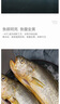 1號會員店【山姆同廠】冷凍寧德三去大黃魚 黃花魚 凈重700g/2條裝 水產(chǎn)魚 曬單實拍圖