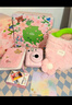 富士（FUJIFILM）instax mini12花與她 限定禮盒 拍立得照相機(jī)即拍即得mini11升級款 傻瓜相機(jī)情人節(jié)日送禮品禮物 櫻花寶貝禮盒 C套餐【標(biāo)配(含10張)+20張相紙+升級配件包】 曬單實(shí)拍圖