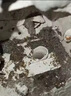 夏陽（XIAYANG）水泥溶解劑 管道下水道疏通劑化水泥堵塞融通劑 曬單實拍圖