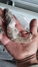 繽鮮 蝦 青島大蝦基圍蝦鮮活青蝦白蝦海蝦對蝦冰蝦凍蝦生鮮 蝦類(lèi)批發(fā) 鹽凍大蝦 3.6斤(凈重)  14-16cm【單只凍 只只分離】 曬單實(shí)拍圖