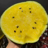 哆莫香黃心西瓜特小鳳冰淇淋黃瓤西瓜甜薄皮當季新鮮水果禮盒年貨送禮 精品小鳳西瓜 1枚【無(wú)禮盒】 曬單實(shí)拍圖