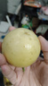 京鮮生 欽蜜9號(hào)黃金百香果 3斤凈重70-90g/15-21個(gè)  生鮮水果 源頭直發(fā) 曬單實(shí)拍圖
