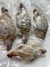舟山梭子蟹鮮活特大野生大螃蟹新鮮冷凍海鮮水產(chǎn)海蟹飛蟹白蟹順豐 7-9兩/只【5斤凈重 特大肥壯】 曬單實拍圖