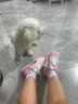 耐克NIKE女子跑步鞋 AIR WINFLO 11 運動(dòng)鞋IB7326-100白 36.5 曬單實(shí)拍圖