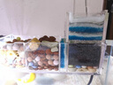 香緹彤德國魚(yú)缸過(guò)濾棉手撕羊絨棉凈水海綿魔毯高密度養魚(yú)專(zhuān)用生化棉 【無(wú)熒無(wú)膠過(guò)濾棉】寬10cm×長(cháng)10米（送凈水劑） 曬單實(shí)拍圖