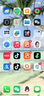 【白條免息】Apple iPhone13 蘋(píng)果13 國行5G全網(wǎng)通   雙卡 蘋(píng)果手機 粉色【現貨速發(fā)】 99新256G【限時(shí)特惠+三年店保+豪華禮包】 曬單實(shí)拍圖